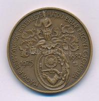 Tóth Sándor (1933-2019) 1982. "Bocskai István (Stephanus Bochkay) / MÉE Hajdú-Bihar Megyei szervezete" kétoldalas bronz emlékérem (42,5mm) T:AU Adamo DE3