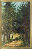 Olvashatatlan jelzéssel: Erdőrészlet. Olaj, vászon, fakeretben, 80x50 cm