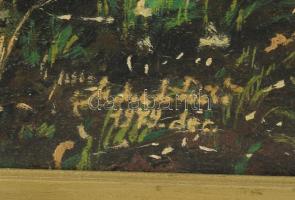 Olvashatatlan jelzéssel: Erdőrészlet. Olaj, vászon, fakeretben, 80x50 cm