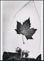 cca 1967 Honty Tibor (1907-1968) szlovák fotóművész felvétele (Levele érkezett), 1 db modern nagyítá...