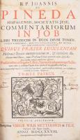 R.P. Joannis de Pineda ... Commentariorum in Job. Tomus alter, Continens posteriores commentariorum ...