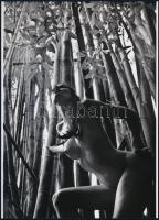 cca 1968 "Bambuszerdőben", szolidan erotikus felvétel, 1 db modern nagyítás, jelzés nélkül, 21x15 cm