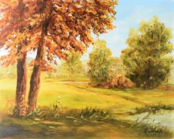 Chiovini F. jelzéssel: Vízparti táj. Olaj, farost. 40x50 cm