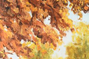 Chiovini F. jelzéssel: Vízparti táj. Olaj, farost. 40x50 cm