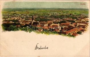 Baden bei Wien, general view. litho