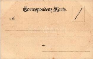 Baden bei Wien, general view. litho