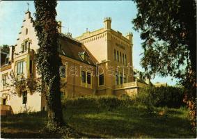 Mikosdpuszta (Mikosszéplak), Gyermeküdülő (Mikosd-Zierer kastély). Képzőművészeti Alap Kiadóvállalat (EK)