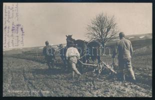ca 1916 Méhes Gyula, 1906-ig Macsek Gyula. ( 1881-1959 ) tanár, zoológus-paleontológus autográf leve...