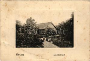 1912 Karcag, Erzsébet liget (fa)