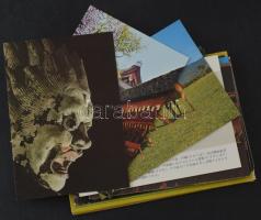 JAPÁN - 26 db MODERN megíratlan képeslap tokban / JAPAN - 26 modern unused town postcard in cases