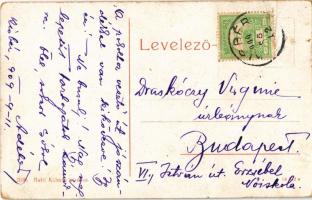 1909 Kisbér, Báró Wenckheim Béla szobra. Haftl Kálmán kiadása 2039. (W.L. ?) (fa)