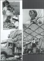 cca 1950 Kluger Zoltán (1896-1977) Izraelben készített felvételei, 5 db modern nagyítás, jelzés nélkül, 21x15 cm és 10x15 cm