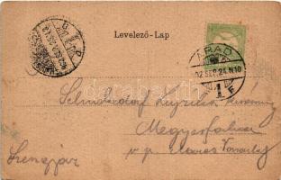 1902 Arad, madártávlatból, látkép, üzletek. Szecessziós címeres litho keret / general view, shops. A...