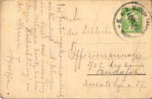 Újvidék, Novi Sad; Trandafil Mária görögkeleti szerb (ortodox) árvaháza / Serbian Orthodox orphanage...