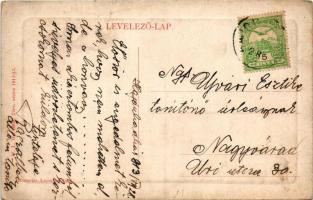 1913 Hajdúhadház, Állami elemi népiskola. W.L. Bp. 5806. 1911-13. Horovitz Lajos kiadása (EK)