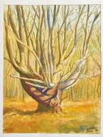 Kabáczy Szilárd (1930-2004): Adonyi erdő, 1996. Akvarell, papír, jelzett. Paszpartuban. 36x27 cm