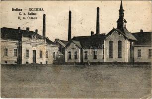 1916 Dolyna, Dolina; C. k. Salina. E. Schreier / salt mine (EB)