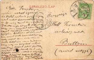 1909 Gyula, Petőfi utca, Rosenthal Gusztáv és Társa üzlete. 1561. (W.L. ?) (EK)