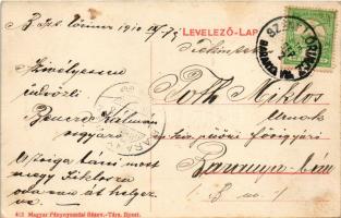 1910 Szentlőrinc (Baranya), Országút utca, Gebauer Tivadar üzlete, Gazdasági Gép- és Vasáru raktár (...