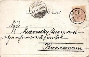 1898 Erzsébet királyné (Sisi) portréi 1847 és 1898 között, kiadva halálának évében. A képeslap címze...