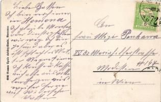 1914 Homonna, Homenau, Humenné; Andrássy Sándor gróf várkastélya, tórészlet. Hossza Gyula kiadása / ...