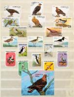 Madár motívum gyűjtemény 8 lapos A4 berakóban, benne sorok, blokkok. Szép színes anyag