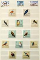 Madár motívum gyűjtemény 8 lapos A4 berakóban, benne sorok, blokkok. Szép színes anyag