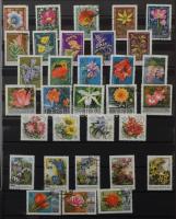 Főleg virág motívum összeállítás 8 lapos A4 berakóban, benne kevés egyéb külföldi bélyeg