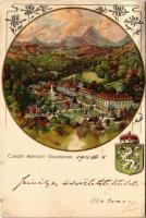 1902 Rogaska Slatina, Rohitsch-Sauerbrunn; Curort / spa, coat of arms. Art Nouveau, floral litho (tear)