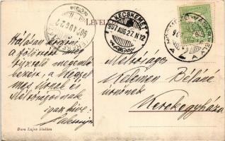 1907 Hódmezővásárhely, Városháza. Kiadja Dura Lajos (EK)