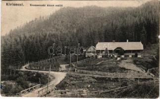 Kőrösmező, Körösmező, Jaszinya, Jasina, Yasinia (Máramaros); Kozmescseki kincstári szálloda. Rosenblüth Emanuel kiadása, Gimes János felvétele / hotel + "KIRÁLYHÁZA - BUDAPEST 19. SZ." vasúti mozgóposta bélyegző (b)