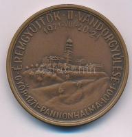 Kovács Dezső (1921-) 1971. "MÉE II. Vándorgyűlése - Győr 1271 - Pannonhalma 1001" kétoldalas bronz emlékérem T:AU Adamo GR1