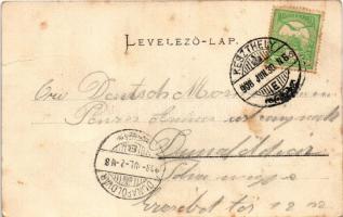 1908 Keszthely, Festetics utca, kávéház, Festetics kastély kapuja. Mérei Ignác kiadása (fa)