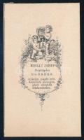 cca 1865 Két elegáns hölgy (anya és lánya) portréja, vizitkártya Mihály József egri műterméből, 10,5...