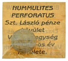 2016. "NUMMULITES PERFORATUS - Szt. László pénze kövület" 1db eocén kori ősmaradvány, magyar nyelvű tájékoztató lappal (Budapest Show 31. Nemzetközi Ásványbörze, Ékszerkiállítás és Gyöngyfesztivál Vasúttörténeti Park 2016. augusztus 26-27-28.) 2016. "NUMMULITES PERFORATUS - Saint Ladislaus' coin" 1pc of Eocene Epoch fossils with Hungarian language information sheet