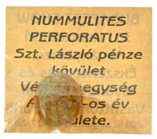 2016. "NUMMULITES PERFORATUS - Szt. László pénze kövület" 1db eocén kori ősmaradvány, magyar nyelvű tájékoztató lappal (Budapest Show 31. Nemzetközi Ásványbörze, Ékszerkiállítás és Gyöngyfesztivál Vasúttörténeti Park 2016. augusztus 26-27-28.) 2016. "NUMMULITES PERFORATUS - Saint Ladislaus' coin" 1pc of Eocene Epoch fossils with Hungarian language information sheet