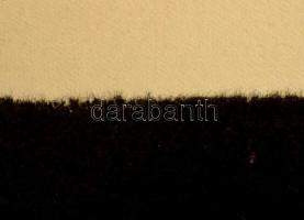 Alex tigris, plüsshatású poszter. Jelzett a plakáton. Apró lapszéli sérülésekkel. Feltekerve. 73x52 ...