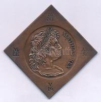 Fritz Mihály (1947-) 1990. "Mathias Rex / 1458 - 1490 - 1990" Mátyás király halálának 500. évfordulójára kiadott kétoldalas bronz emlékcsegely (51x51mm) T:AU Adamo SF15