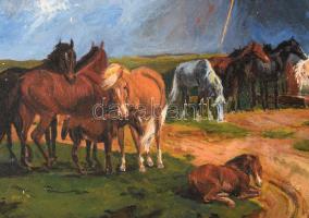 Jelzés nélkül: Lovak a viharban. Olaj, farost. 21×28,5 cm