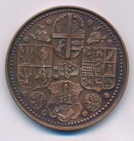 Tóth Sándor (1933-2019) 1985. "Szabolcs vezér - Nyíregyháza" kétoldalas bronz emlékérem (4...