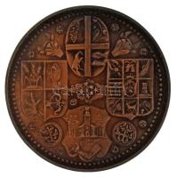 Tóth Sándor (1933-2019) 1985. "Szabolcs vezér - Nyíregyháza" kétoldalas patinázott bronz emlékérem (42,5mm) T:AU Adamo NH1