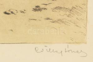 Csillag József (1894-1977): Falu. Színezett rézkarc, papír, jelzett, üvegezett fakeretben, lapszéli ...