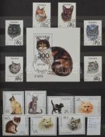 Macska és kutya motívum összeállítás, kevés egyéb más állattal 8 lapos Philux berakóban, benne sorokkal és blokkokkal