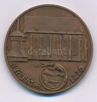 Tóth Sándor (1933-2019) DN "Nyírbátor 1279 / Szabolcs Szatmár megyei Idegenforgalmi Hivatal - Nyír Tourist" kétoldalas bronz emlékérem (40mm) T:AU, kis patina