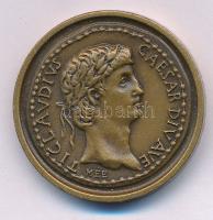 Kiss Sándor (1925-1999) 1988. "TI CLAVDIVS CAESAR DIVAVE / COLONIA CLAVDIA SAVARIA XLIII - SAVARIA MCMLXXXVIII" kétoldalas bronz MÉE emlékérem (29mm) T:AU Adamo SH9