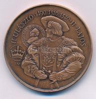 Fritz Mihály (1947-) / Szabó Géza (1939-) 1991. "II. Ulászló - 1490 - 1516 - 1526 - II. Lajos / II. Lajos ifjúkori páncélja - MÉE Fejér megyei Alba Regia Szervezete - Székesfehérvár" kétoldalas bronz emlékérem sérült kapszulában (42,5mm) T:UNC Adamo SF17