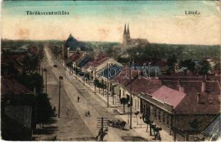 Törökszentmiklós, látkép. Cs. Bors Dezső kiadása (fa)