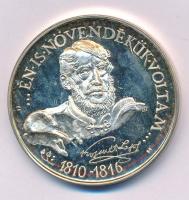 Sebestyén Sándor (1949-2010) 1989. "MÉE - 200 éves a sátoraljaújhelyi Kossuth Lajos Gimnázium /...