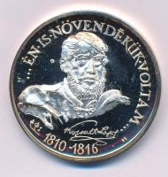 Sebestyén Sándor (1949-2010) 1989. "MÉE - 200 éves a sátoraljaújhelyi Kossuth Lajos Gimnázium /...