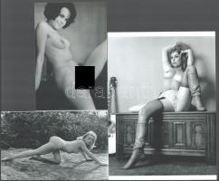 "Csalogató pozíciók", szolidan erotikus felvételek, amelyek eltérő időben készültek, 3 db modern nagyítás, jelzés nélkül, 21x15 cm és 10x15 cm